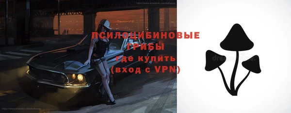 стаф Кулебаки
