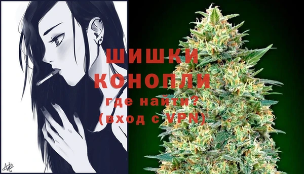 стаф Кулебаки