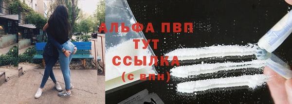 стаф Кулебаки