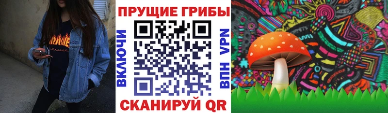 Купить где  Тобольск  Псилоцибиновые грибы MAGIC MUSHROOMS 