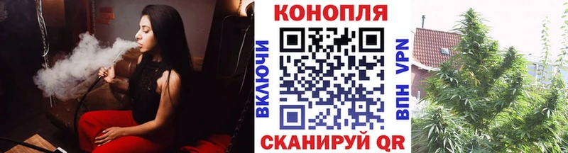 Купить закладки  Тобольск  Бошки Шишки конопля 